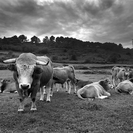 Belenos Alojamientos Turisticos Niembro Exterior foto